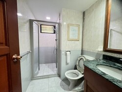 Simsville (D14), Condominium #481310721